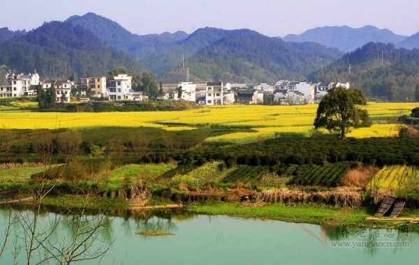 重庆多家旅行社收取年龄附加费 老人小孩被要求多付费